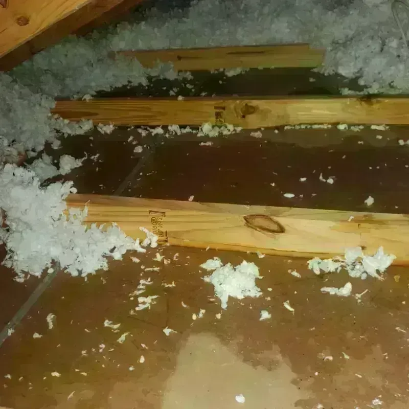 Attic Water Damage in Bella Vista, AR